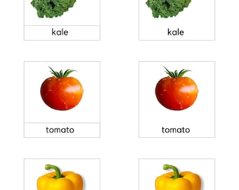 Pflanzliche 3-teilige Karten/Montessori-Sprachmaterial/Homeschooling-Material
