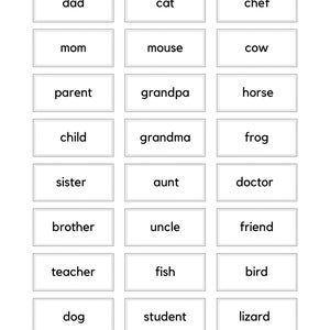 Cartões de substantivos Montessori / substantivo para impressão / função da palavra