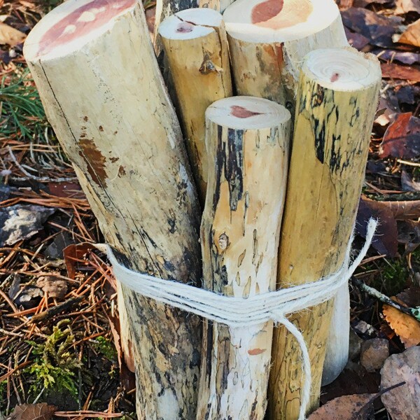 Eastern TN Red Cedar 8 pc Stick Bundle, Locally and Sustainably Sourced - 8-9 Inch Length