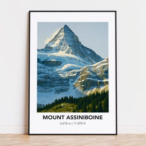 May include: A framed print of Mount Assiniboine, a snow-capped mountain with a distinctive peak. The image shows the mountain's steep slopes and surrounding evergreen trees. The text "MOUNT ASSINIBOINE" and the height, 3,618 m, are displayed at the bottom.
