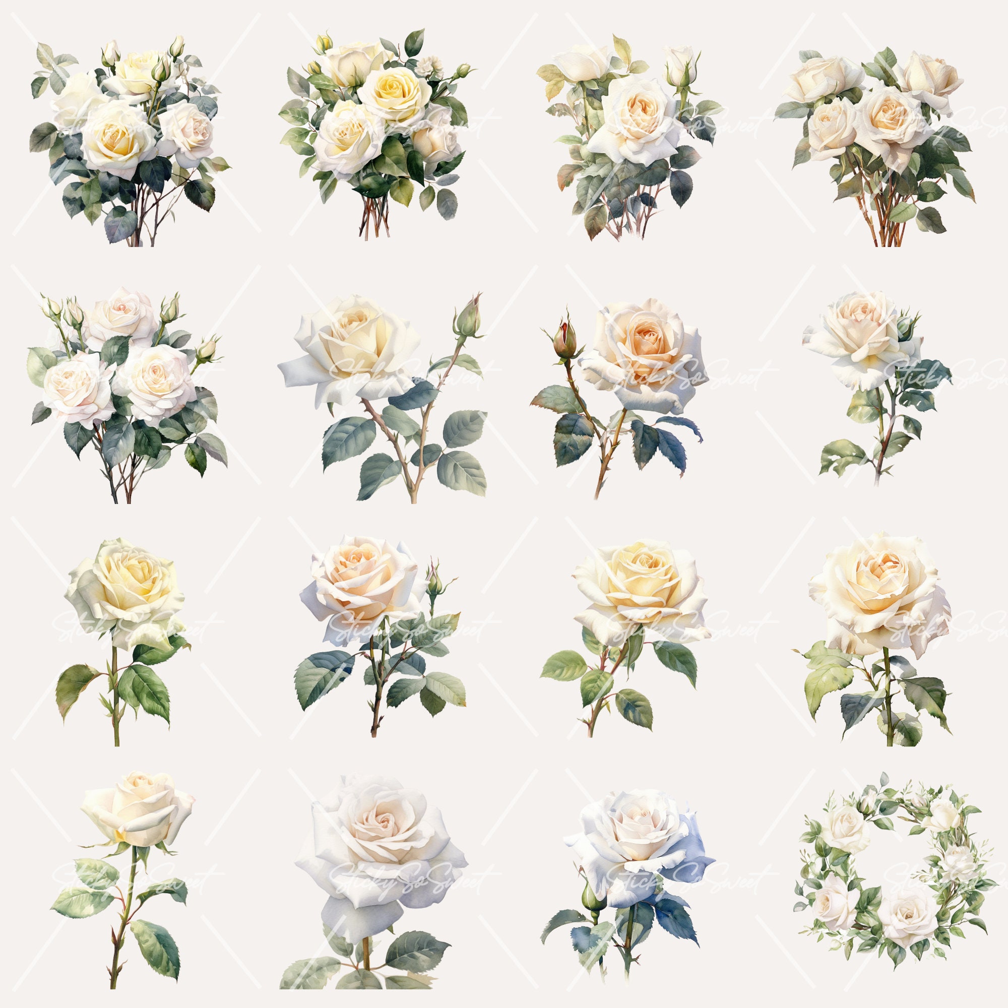 Watercolor White Rose Bundle Clipart | PNG | Commercial Use | Instant ...