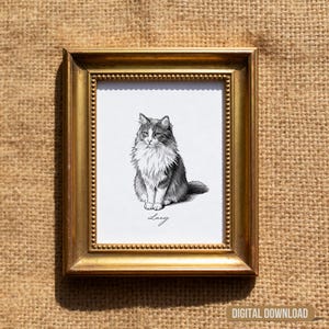 May include: A framed black and white pencil drawing of a fluffy cat named Lucy. The cat is sitting upright with its front paws together. The frame is gold with a beaded edge. The words "DIGITAL DOWNLOAD" are in the bottom right corner.