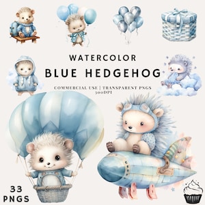 Clipart de pacote de ouriço azul bebê aquarela | PNG | Uso Comercial | Download instantâneo | 300DPI | Chá de bebê menino