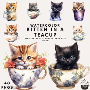 Gattino acquerello in una tazza di tè Bundle Clipart / PNG / Uso commerciale / Download istantaneo / 300DPI