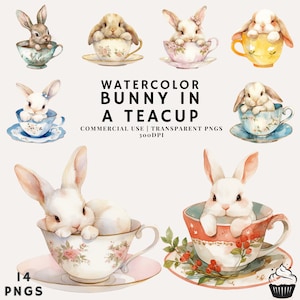 Coniglio dell'acquerello in una tazza da tè Clipart Bundle / PNG / Uso commerciale / Download istantaneo / 300DPI