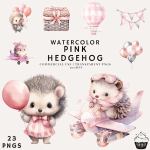 Pacote de ouriço rosa bebê fofo aquarela | PNG | Uso Comercial | Download instantâneo | 300DPI | Chá de bebê menina