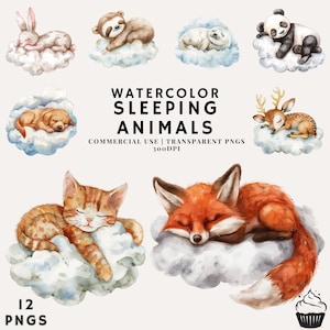 Watercolor Cute Sleeping Animals Clipart Bundle | PNG | Commercial Use | Instant Download | 300DPI