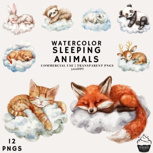 Pacote de clipart de animais adormecidos fofos em aquarela | PNG | Uso Comercial | Download instantâneo | 300DPI