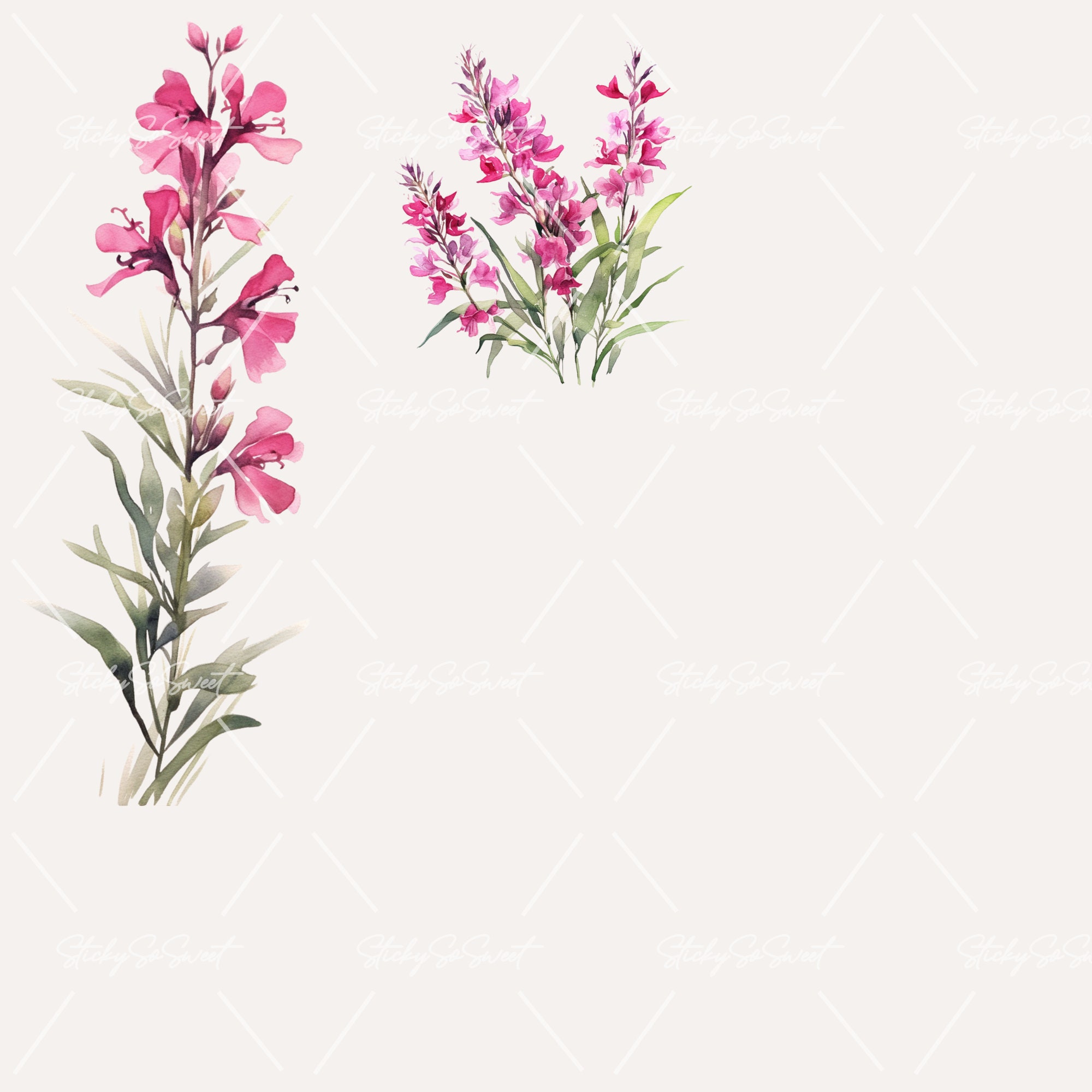 Fireweed Vector Watercolor Fireweed Bundle Clipart | PNG | Commercial Use | Instant ...