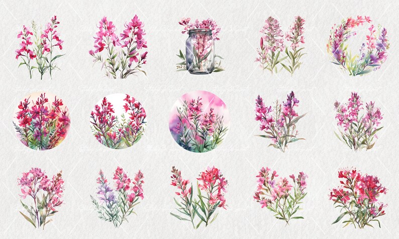 Watercolor Fireweed Bundle Clipart PNG Commercial Use - Etsy