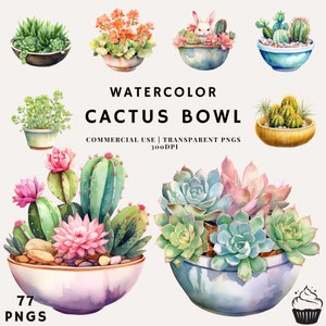 Acuarela Suculentas Cactus en un paquete de tazón Clipart / PNG / Uso comercial / Descarga instantánea / 300DPI