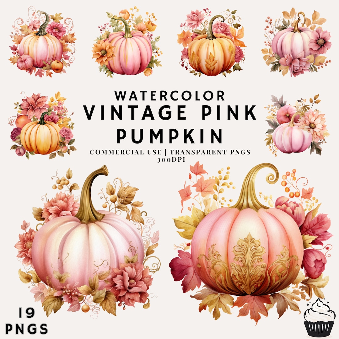 Watercolor Autumn Pink Vintage Pumpkin Clipart Bundle | PNG ...
