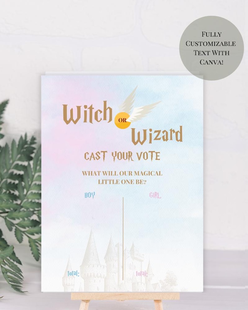 Witch or Wizard, Boy or Girl Gender Reveal Voting Board, Magical