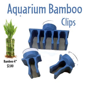 Aquarium Lucky Bamboo Clips Spirale & gerader Stiel Glücksbambus, Feng Shui Pflanze, Indoor Greenery, Wohnkultur, Büropflanze, Geschenkidee