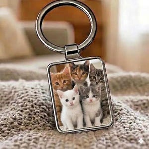 Puede incluir: Un llavero rectangular de metal con una fotografía en color de alta resolución de cinco gatitos. La imagen muestra un gatito naranja, uno carey, un atigrado gris, uno blanco sólido y un gatito gris y blanco sentados juntos.