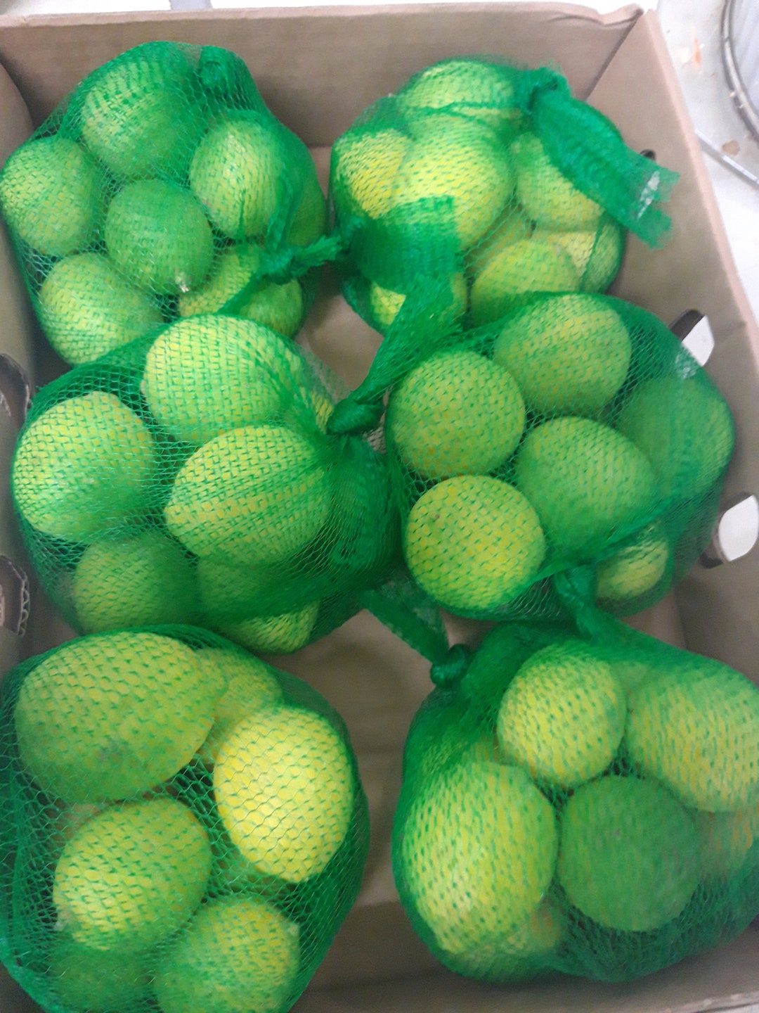 Organic Key Limes Etsy