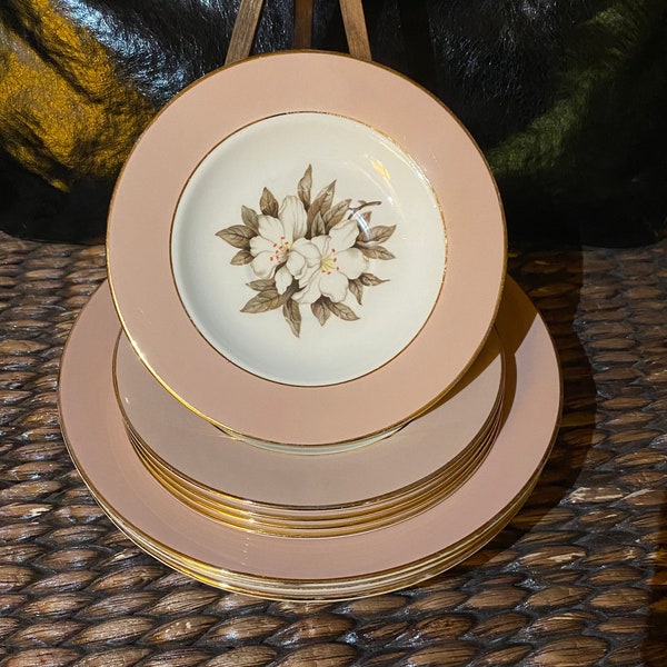 Sevron Fair Lady Floral Accent Gold Trim Bowls and Plates Fine China Rose Pink Border White Magnolia Floral Center Gold Trim