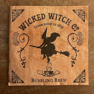 Decoupage Paper Napkins- Set of 4 Cocktail - Halloween , Witch Napkins
