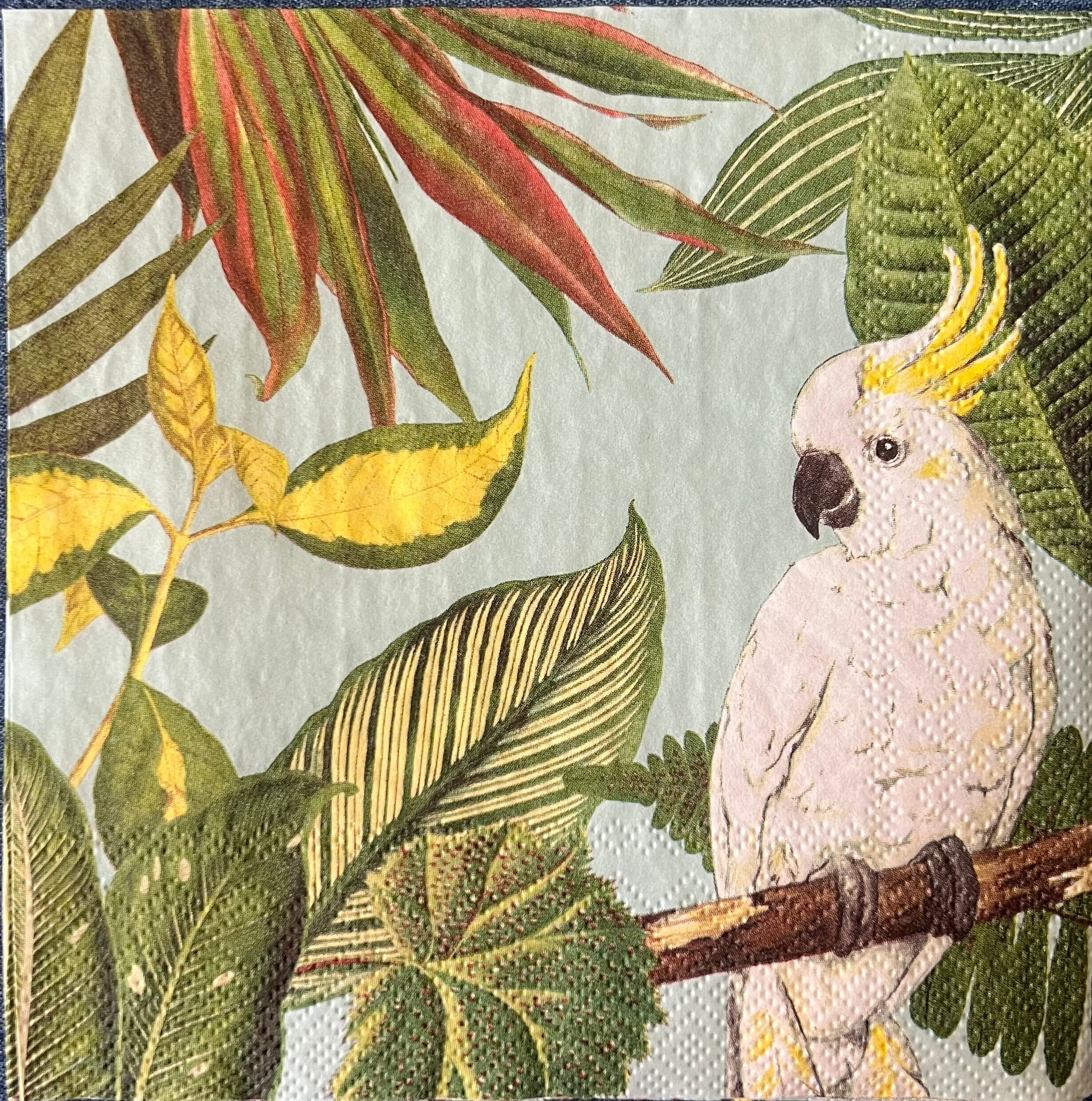 2) Two Paper Lunch Napkins for Decoupage/Mixed Media - Tropical Parrot