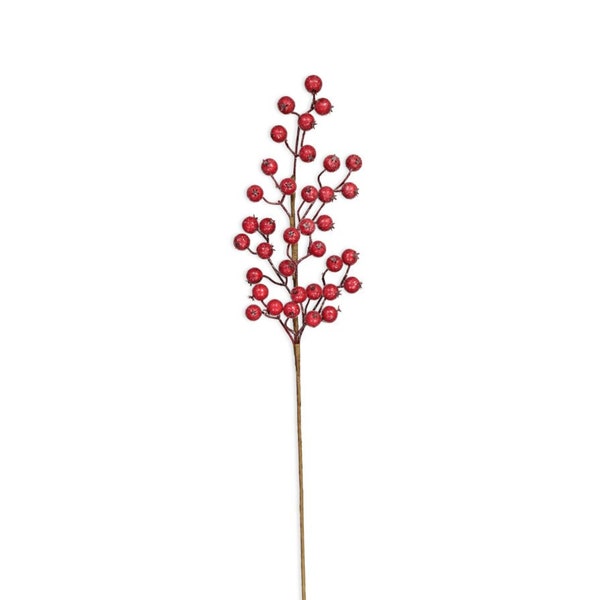Red Berry Stems - Etsy