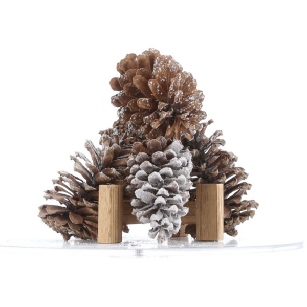 XL Snow Dusted Pinecones Home Decor - Farmhouse Decor - Natural Pinecone - Centerpieces Accent - Holiday Decor - DIY Ornament Craft Supply