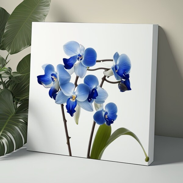 Orchid Wall Art Etsy