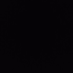 May include: A black background.