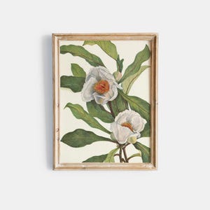Blumige Malerei | Realistische Blumen Zeichnung | Aquarell Stillleben | Kunstdrucke Online | Botanisches Kunstwerk | Wall Art PRINTABLE 151