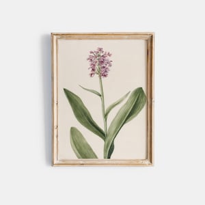 Blumige Malerei | Realistische Blumen Zeichnung | Aquarell Stillleben | Kunstdrucke Online | Botanisches Kunstwerk | Wandkunst | DRUCKBAR 607