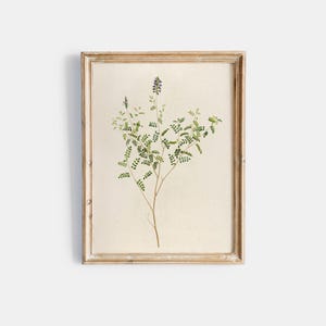 Blumige Malerei | Realistische Blumen Zeichnung | Aquarell Stillleben | Kunstdrucke Online | Botanisches Kunstwerk | Wall Art PRINTABLE 131