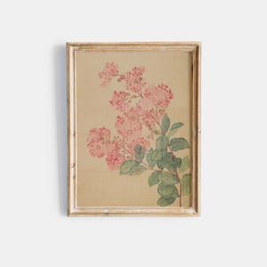 May include: A framed print of a watercolour painting of a pink flower with green leaves on a beige background.