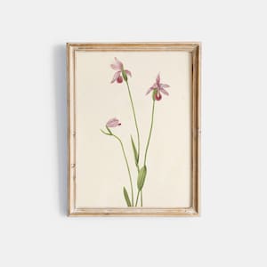 Blumige Malerei | Realistische Blumen Zeichnung | Aquarell Stillleben | Kunstdrucke Online | Botanisches Kunstwerk | Wall Art PRINTABLE 139