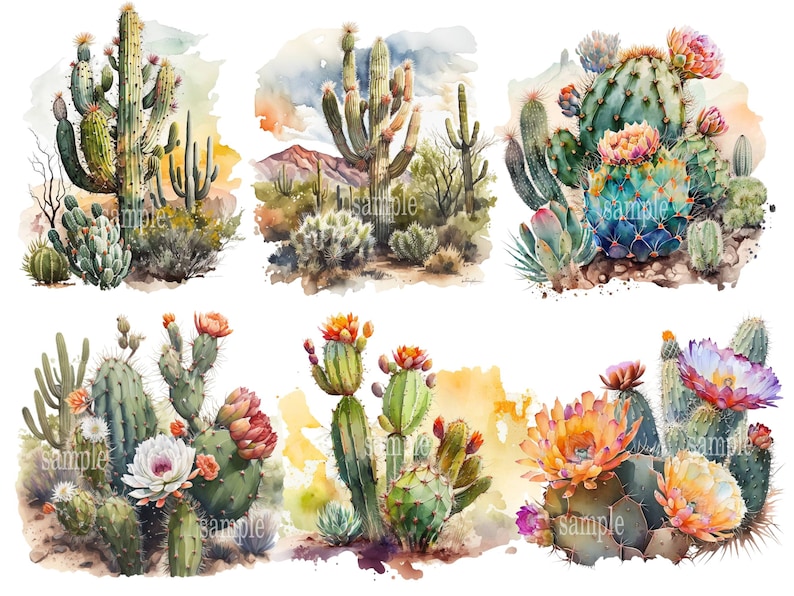 Colorful Watercolor Cactus Clip Art Collection, Instant Download, Printable Art, Digital Graphics, Commercial Use, Boho Decor, Southwest Style, Succulent Plants, Botanical Illustrations