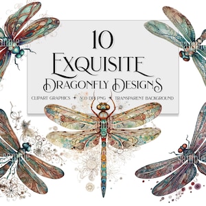 Sierlijke Dragonfly clipart, Dragonfly clipart, Dragonfly bundel clipart, Dragonfly PNG, schattige Dragonfly clipart, kaartmaken png, png bestseller