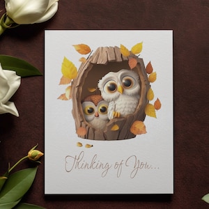 Woodland owl clipart
Adorable owl graphics
Cute owl illustrations
Whimsical owl art
PNG format transparent background