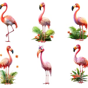flamingo clipart, flamingo graphic designs, clipart collection, tropical bird illustrations, vibrant flamingo graphics