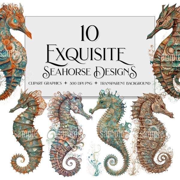 Seahorse Design Collection, Seahorse PNG, Seahorse Clipart, Beautiful Seahorse, Transparent Background, Commercial Use