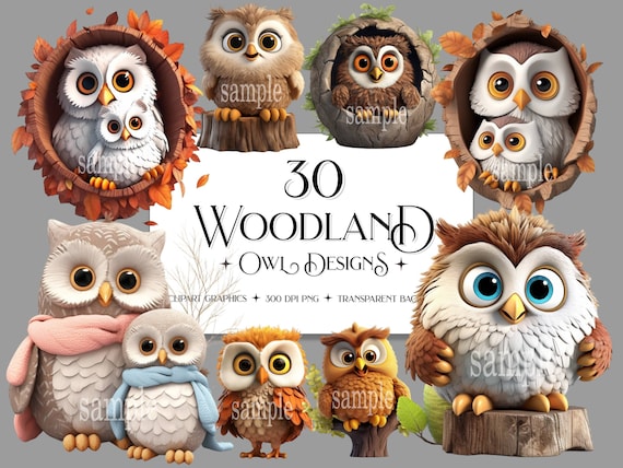 Whimsical Woodland Owl Clipart: 30 PNG Designs (Digital Download)