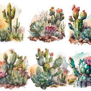 Colorful Watercolor Cactus Clip Art Collection, Instant Download, Printable Art, Digital Graphics, Commercial Use, Boho Decor, Southwest Style, Succulent Plants, Botanical Illustrations