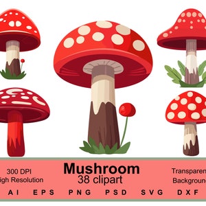 Könnte beinhalten: Ein Set mit 38 Clipart-Illustrationen von roten und weißen Pilzen. Die Pilze haben weiße Punkte und sind in verschiedenen Posen. Die Illustrationen sind perfekt, um Ihren Designs einen Hauch von Verspieltheit zu verleihen.