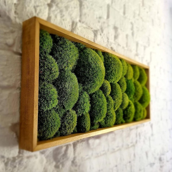 Picture decoration for living room, bedroom, bathroom - wall art, green plants, and stabilized moss images, a green moss ball.