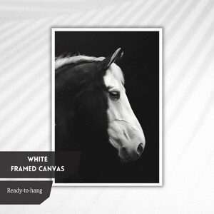 Puede incluir: Fotograf&iacute;a en blanco y negro de la cabeza de un caballo, con la cara del caballo girada hacia un lado. El caballo tiene una mancha blanca en la cara. El fondo es negro.