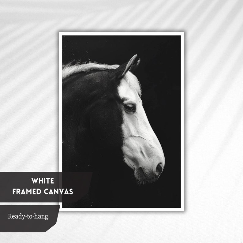 Puede incluir: Fotograf&iacute;a en blanco y negro de la cabeza de un caballo, con la cara del caballo girada hacia un lado. El caballo tiene una mancha blanca en la cara. El fondo es negro.