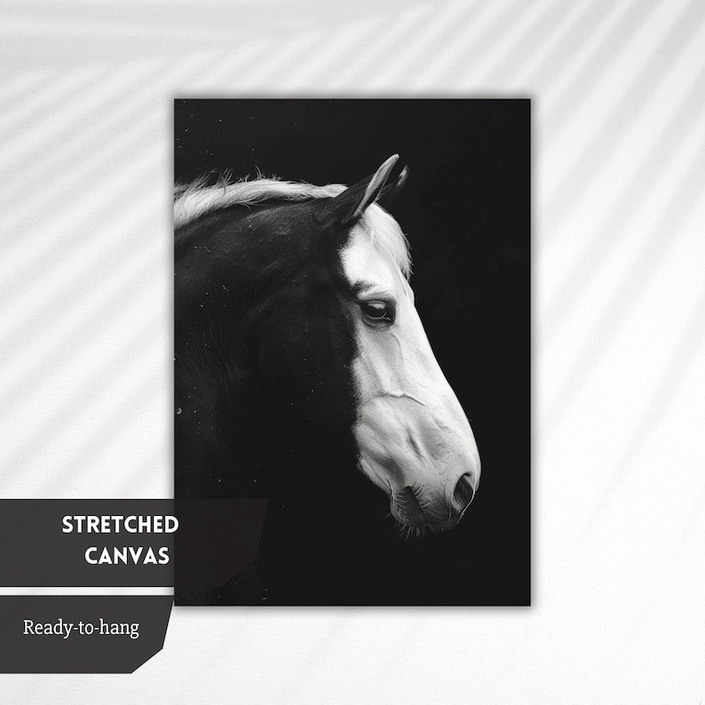 Puede incluir: Fotograf&iacute;a en blanco y negro de la cabeza y el cuello de un caballo. El caballo mira hacia la derecha, su cara es principalmente blanca, mientras que su cuello es principalmente negro. El fondo es negro.