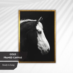 Puede incluir: Fotograf&iacute;a en blanco y negro de la cabeza de un caballo de perfil, impresa en lienzo y enmarcada en oro.