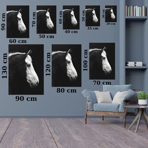 Puede incluir: Una fotograf&iacute;a en blanco y negro de la cabeza de un caballo. El caballo est&aacute; mirando hacia la derecha. La imagen est&aacute; disponible en varios tama&ntilde;os, desde 20 cm x 30 cm hasta 130 cm x 90 cm.