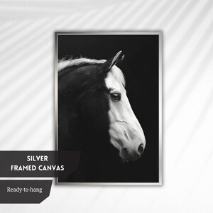 Puede incluir: Fotograf&iacute;a en blanco y negro de la cabeza de un caballo de perfil, impresa en lienzo y enmarcada en plata.