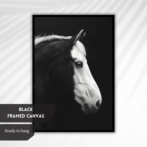 Puede incluir: Fotograf&iacute;a en blanco y negro de la cabeza de un caballo de perfil, impresa en un lienzo enmarcado en negro. El caballo es mayoritariamente blanco con una mancha negra en la cara. El fondo es negro.