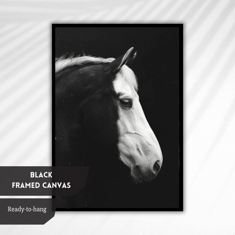 Puede incluir: Fotograf&iacute;a en blanco y negro de la cabeza de un caballo de perfil, impresa en un lienzo enmarcado en negro. El caballo es mayoritariamente blanco con una mancha negra en la cara. El fondo es negro.