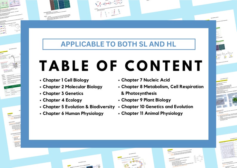 IB Biology SL/HL Study Notes - Etsy
